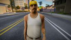Los Santos Vagos HD 2 for GTA San Andreas